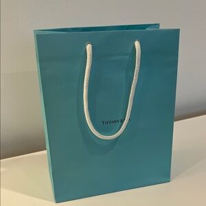 Tiffany & Co. Turquoise Shopping Bag